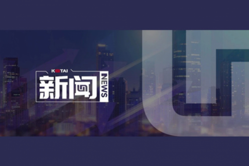 AI革新加速，公海jcjc710数码2024全年毛利额营收逆势双升